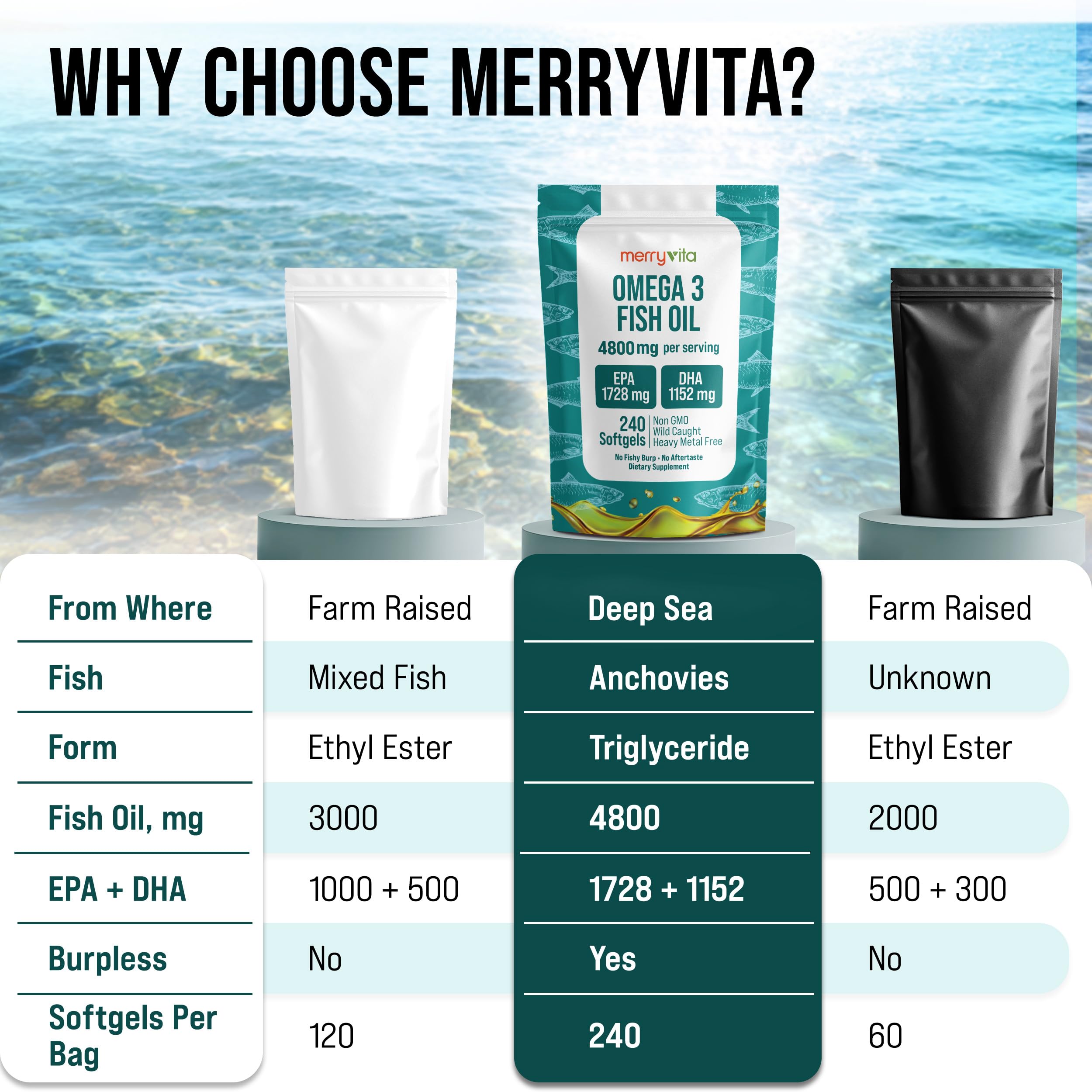 Omega 3 Fish Oil 4800 mg – EPA 1728 mg | DHA 1152 mg from Wild-Caught Anchovies – Burpless Mini Softgels – Pure Omega-3 Fatty Acid Supplement – Non-GMO, Gluten-Free, No Aftertaste – 240 Capsules
